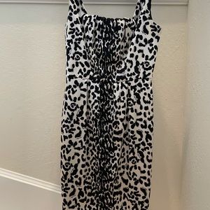 White House Black Market Leopard Print Dress
